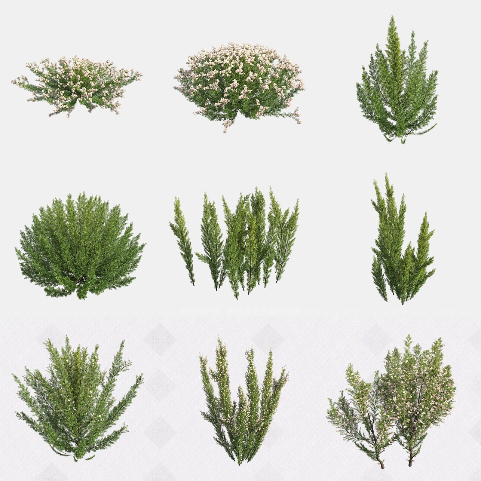 灌木3D模型下载【ID:1180597969】