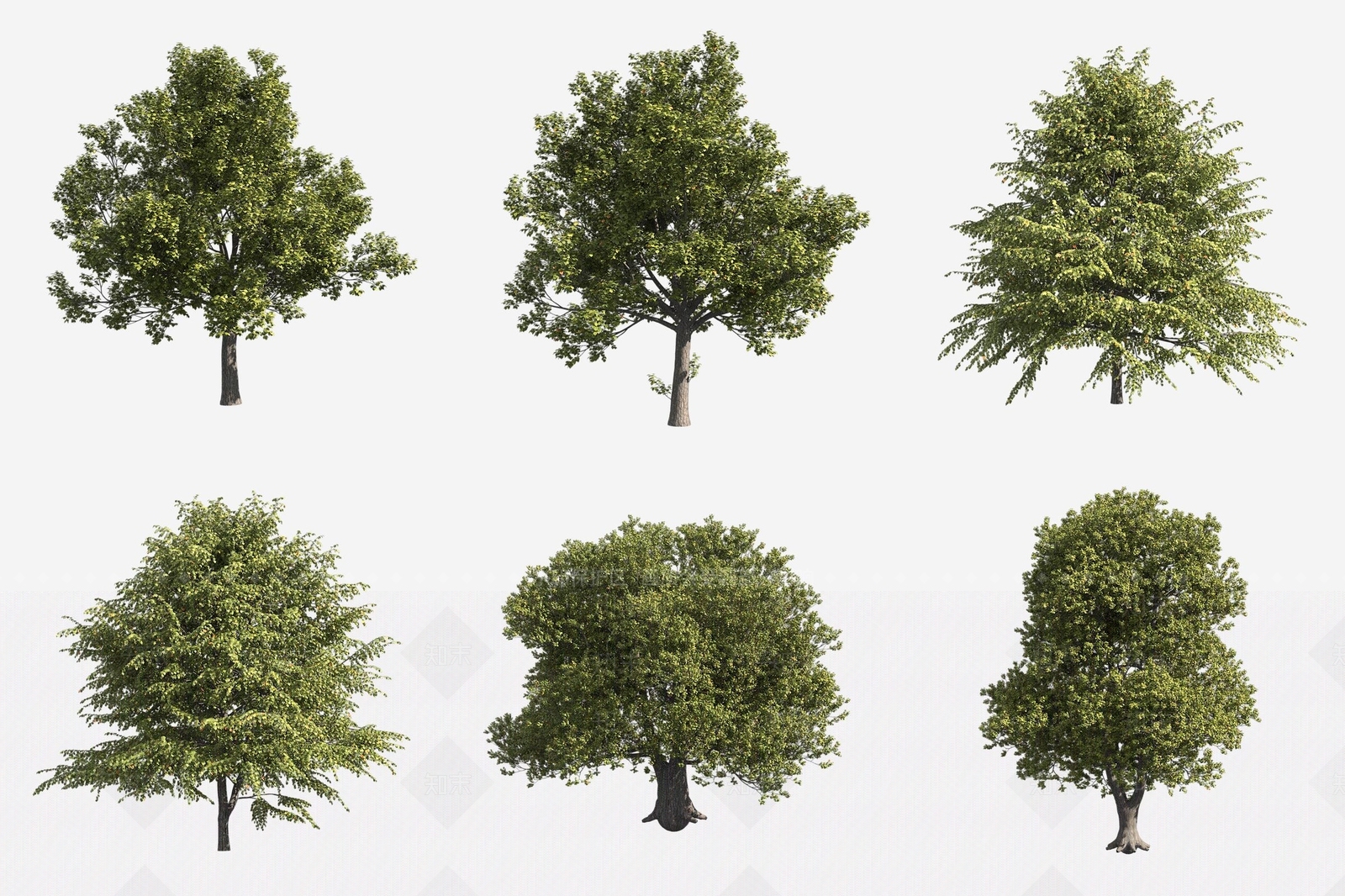 景观树3D模型下载【ID:1180599479】