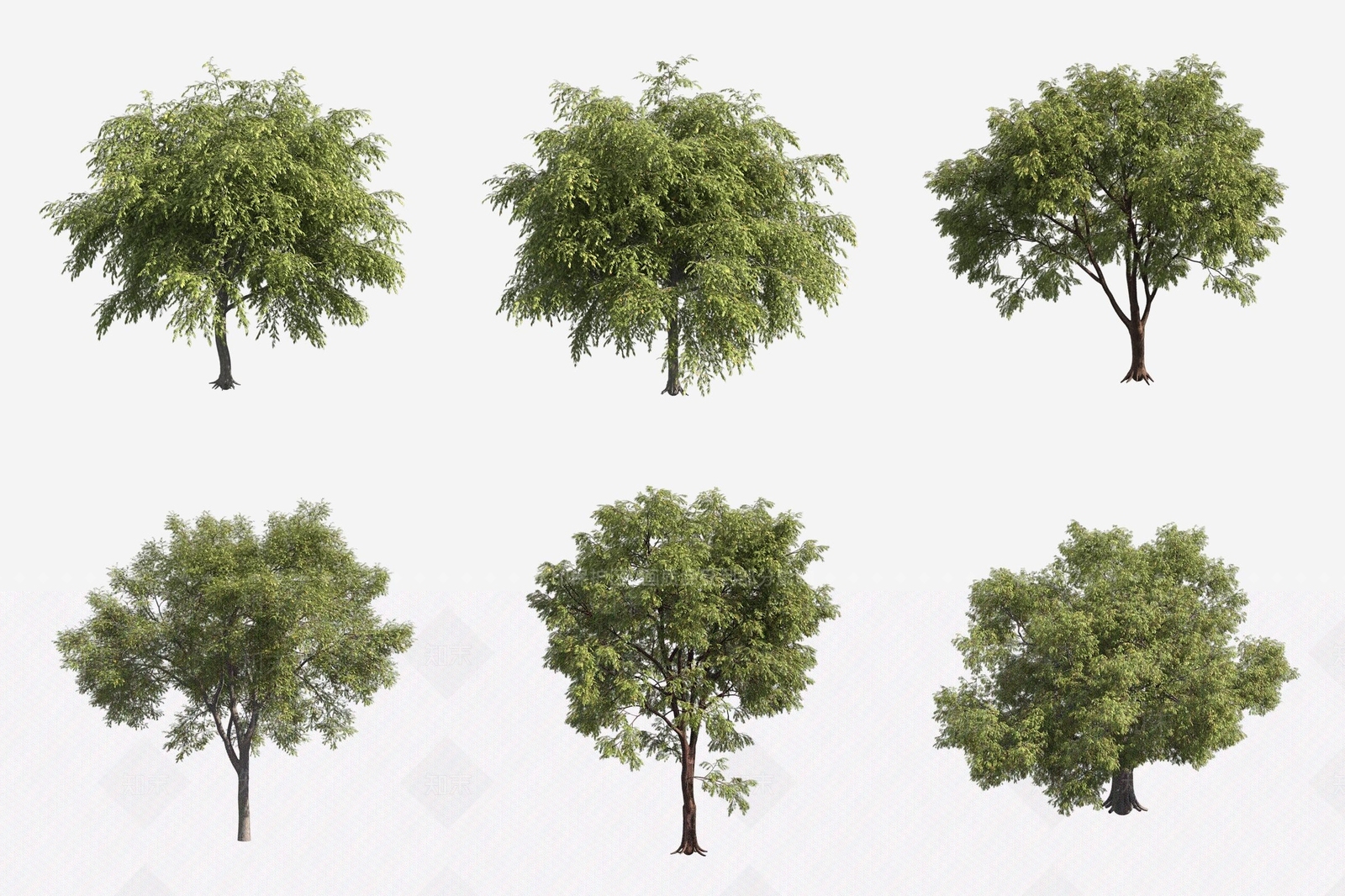 景观树3D模型下载【ID:1180600864】