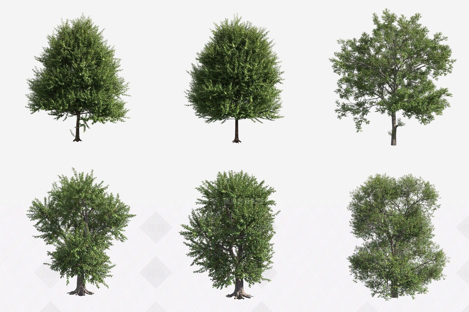 景观树3D模型下载【ID:1180603460】