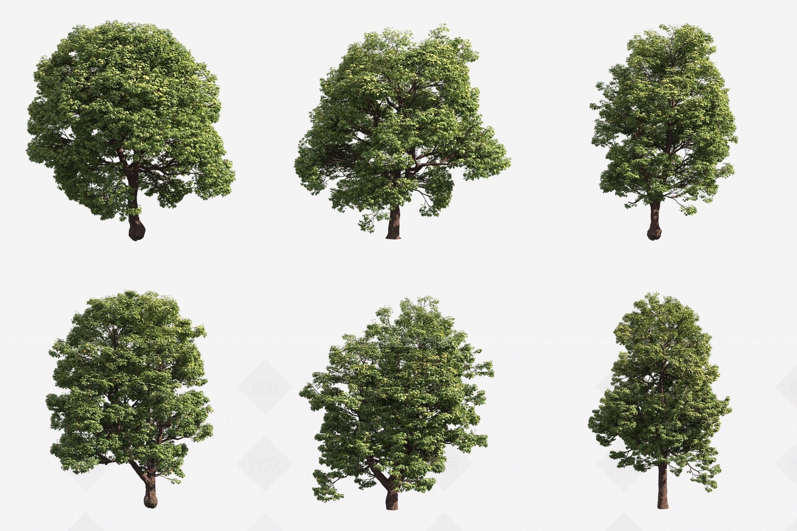 景观树3D模型下载【ID:1180609684】