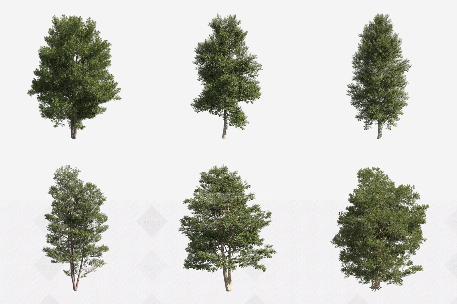 景观树3D模型下载【ID:1180611172】