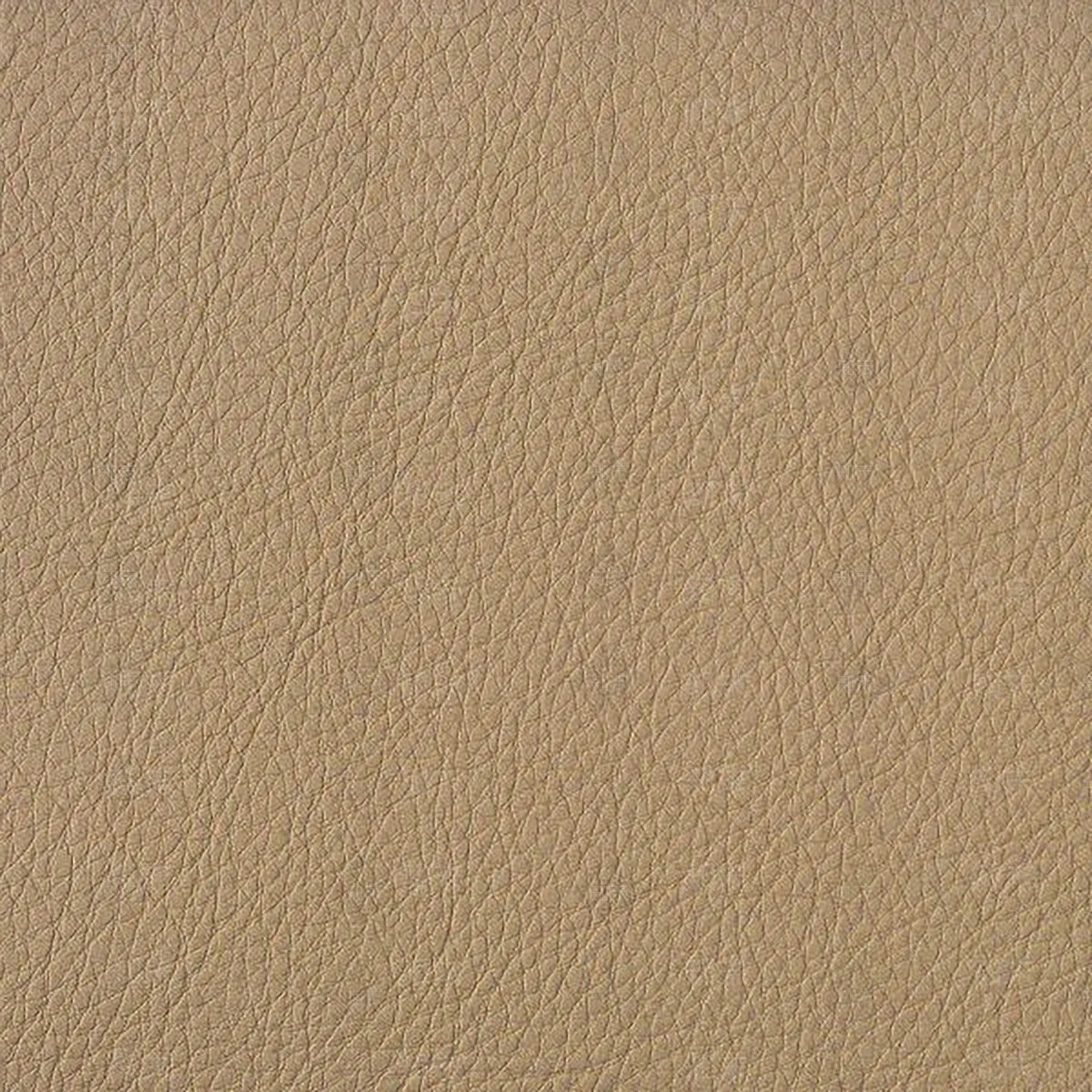 现代轻奢粗纹皮革贴图下载【ID:1180629757】