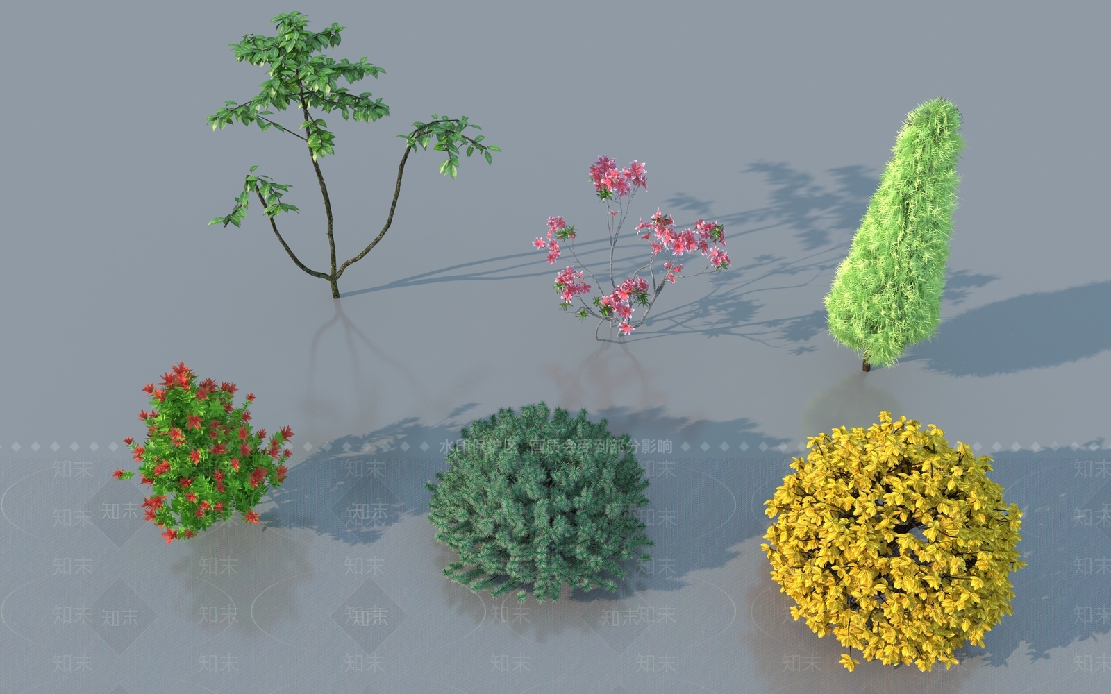 乔木3D模型下载【ID:1180638546】