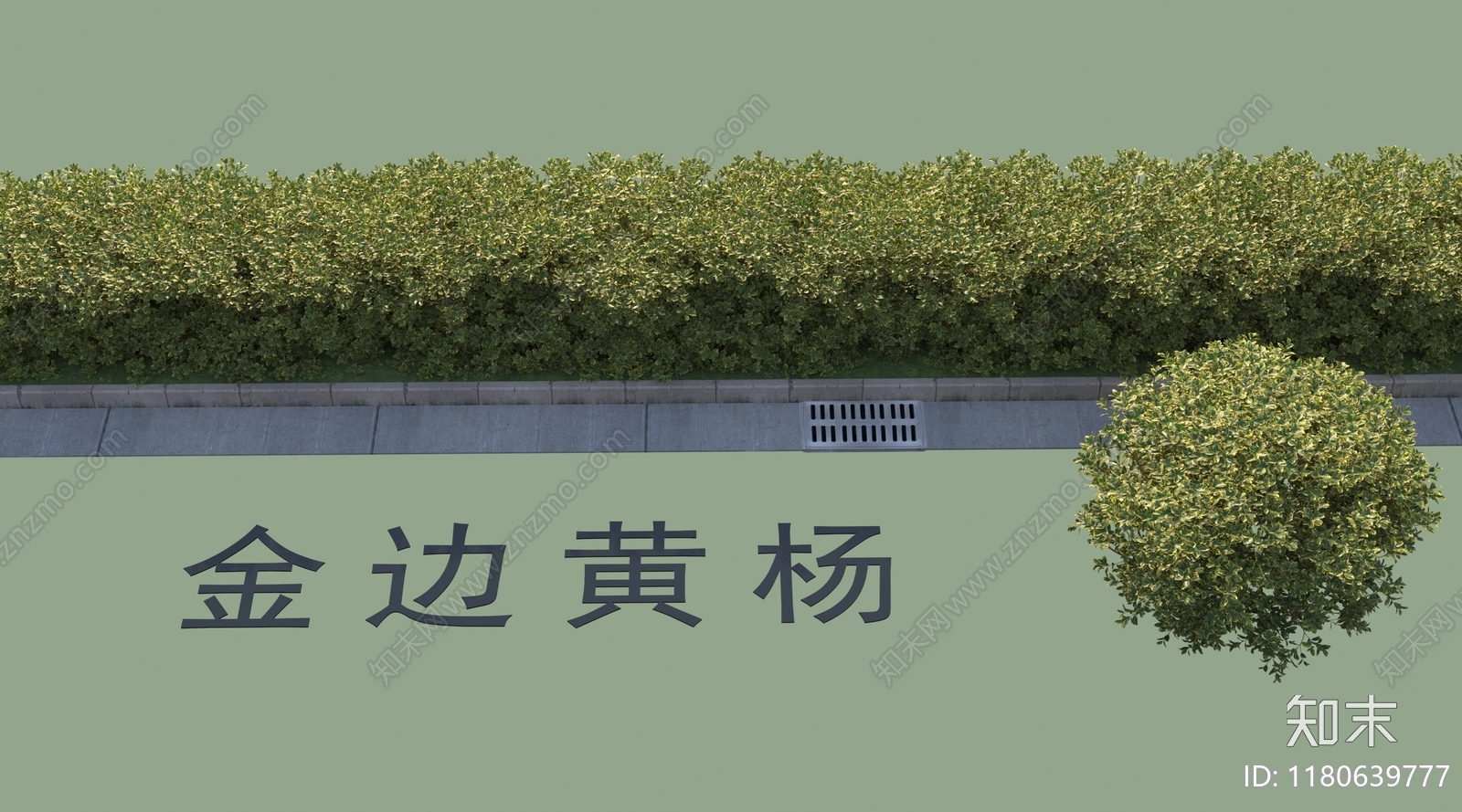 灌木3D模型下载【ID:1180639777】