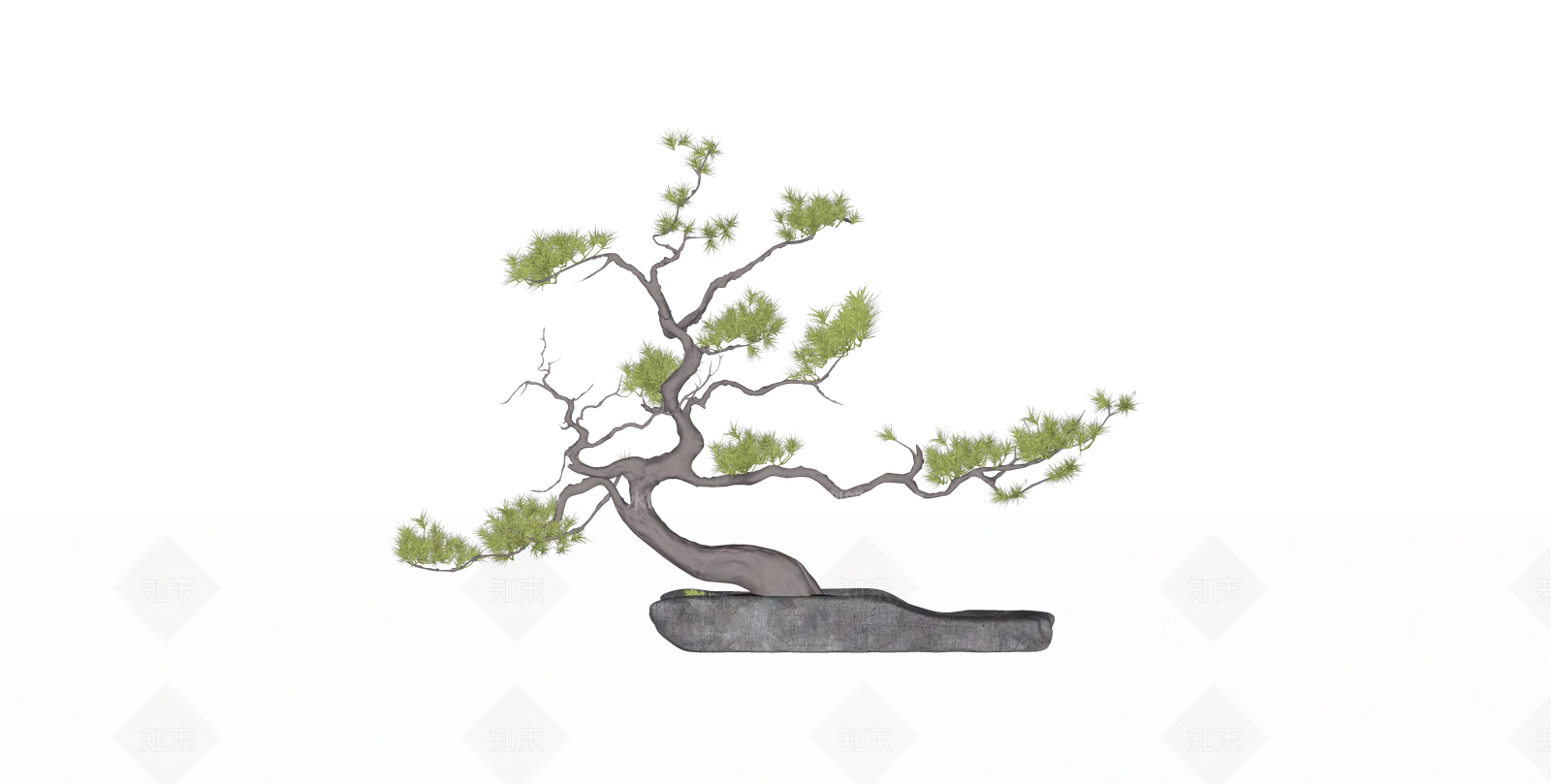 盆栽SU模型下载【ID:1180644464】