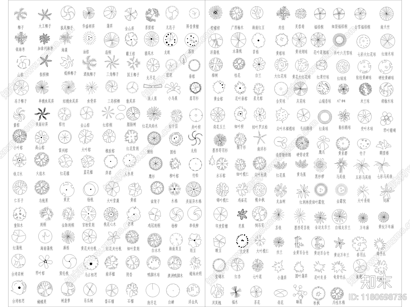 2025年最新园林景观植物乔木灌木绿植平面CAD图库施工图下载【ID:1180698736】