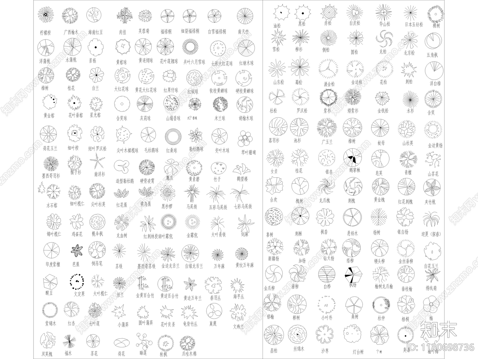 2025年最新园林景观植物乔木灌木绿植平面CAD图库施工图下载【ID:1180698736】