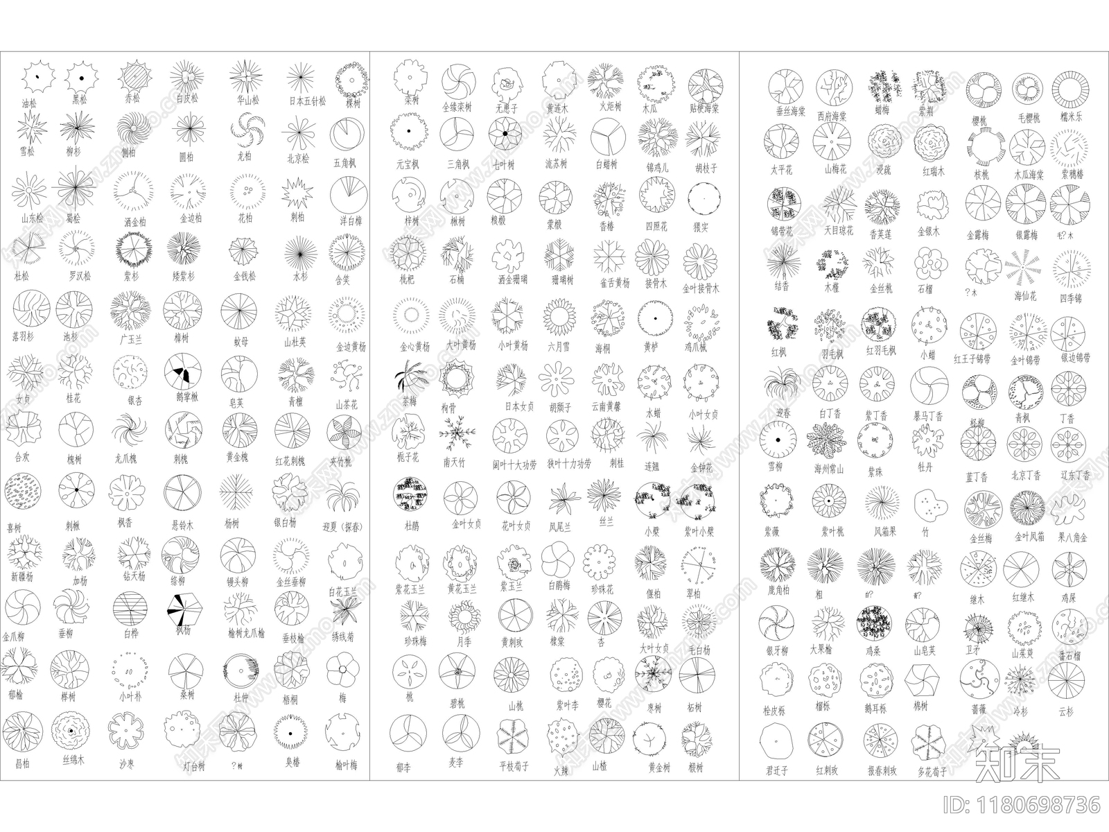 2025年最新园林景观植物乔木灌木绿植平面CAD图库施工图下载【ID:1180698736】