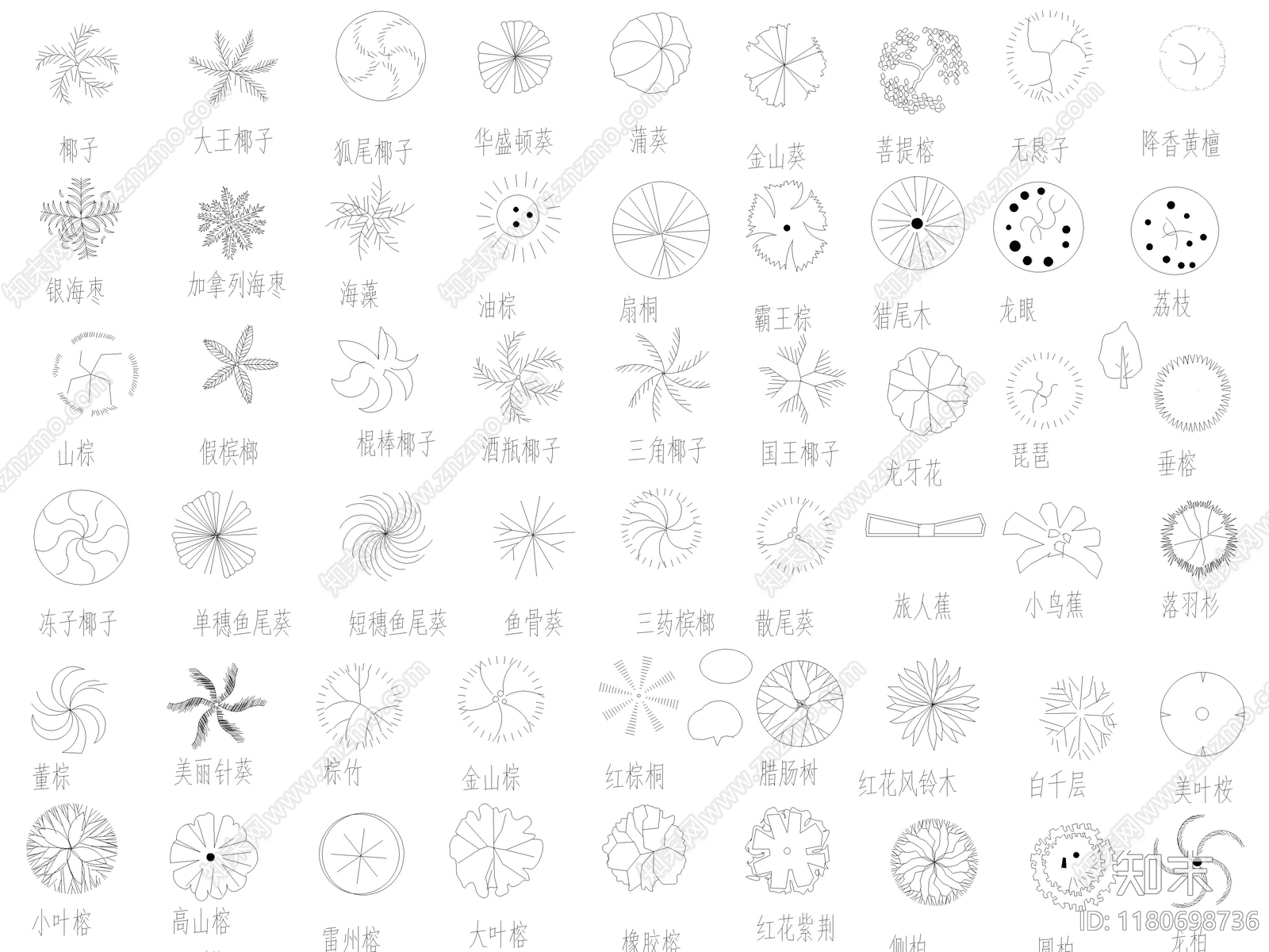 2025年最新园林景观植物乔木灌木绿植平面CAD图库施工图下载【ID:1180698736】