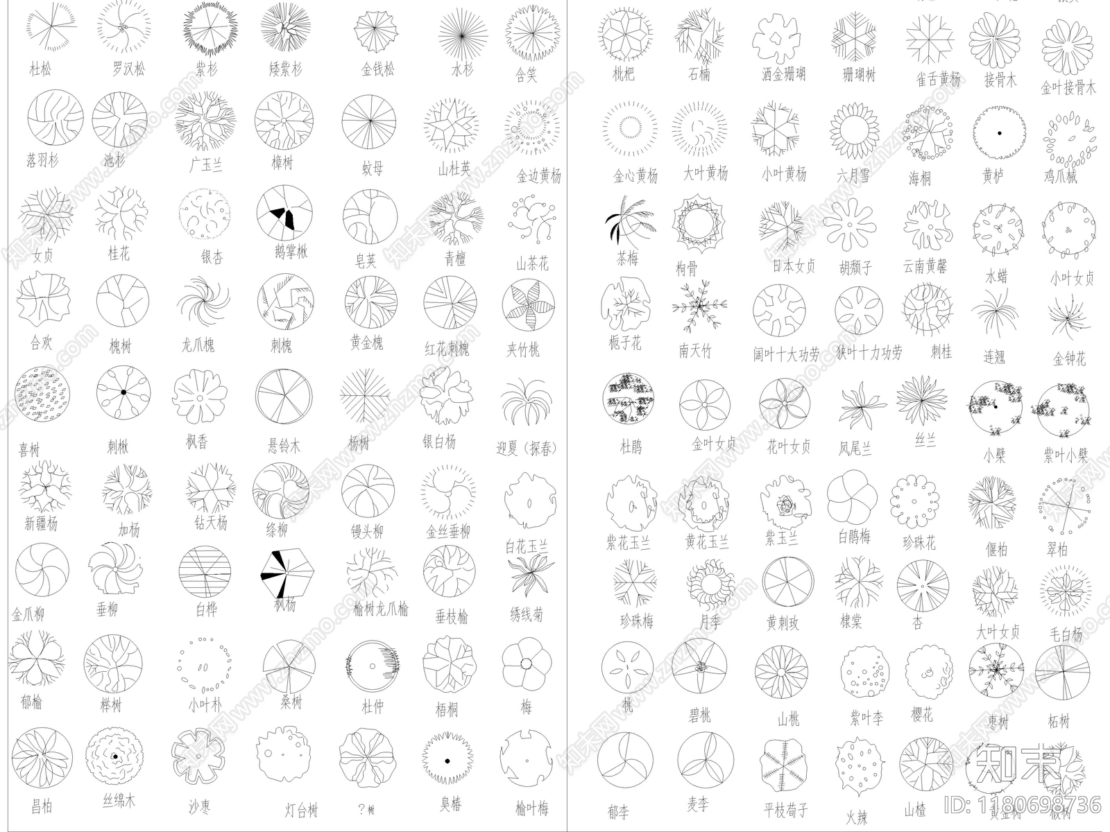 2025年最新园林景观植物乔木灌木绿植平面CAD图库施工图下载【ID:1180698736】