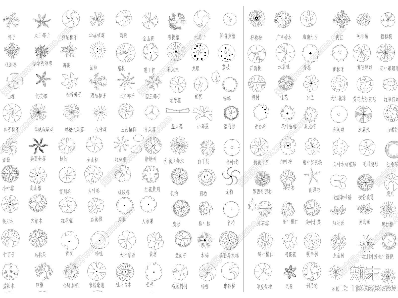 2025年最新园林景观植物乔木灌木绿植平面CAD图库施工图下载【ID:1180698736】