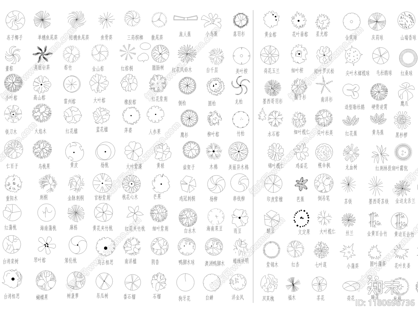 2025年最新园林景观植物乔木灌木绿植平面CAD图库施工图下载【ID:1180698736】