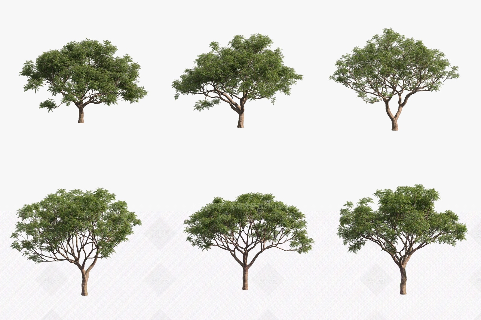 景观树3D模型下载【ID:1180699500】