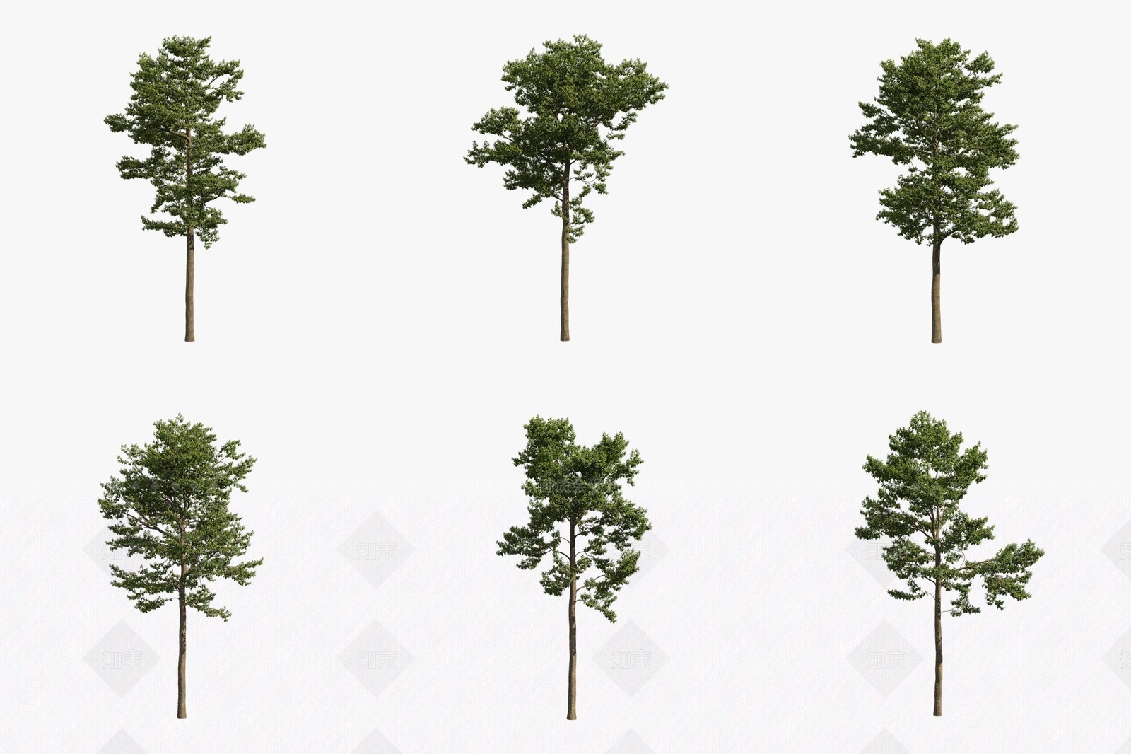 景观树3D模型下载【ID:1180705095】