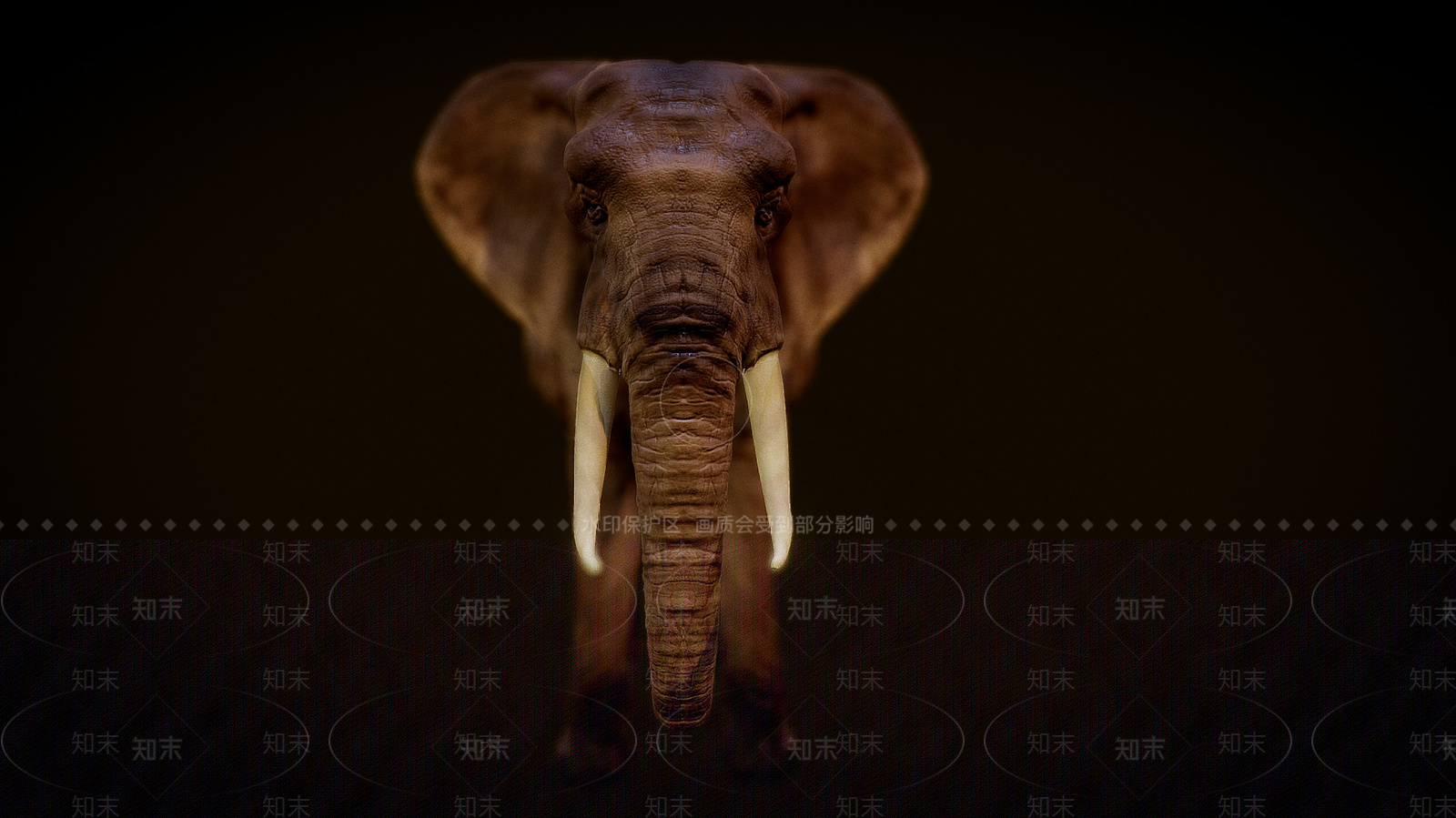 爬行类动物3D模型下载【ID:1180733480】