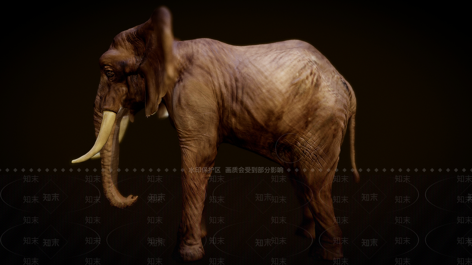 爬行类动物3D模型下载【ID:1180733480】