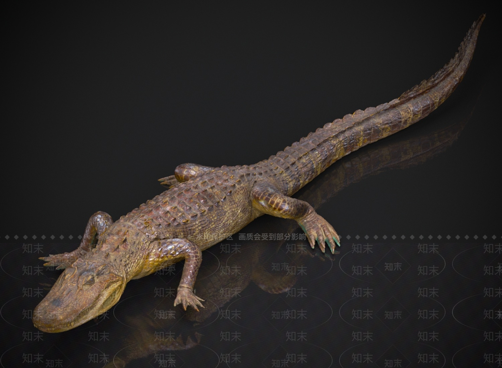 其他动物3D模型下载【ID:1180770123】