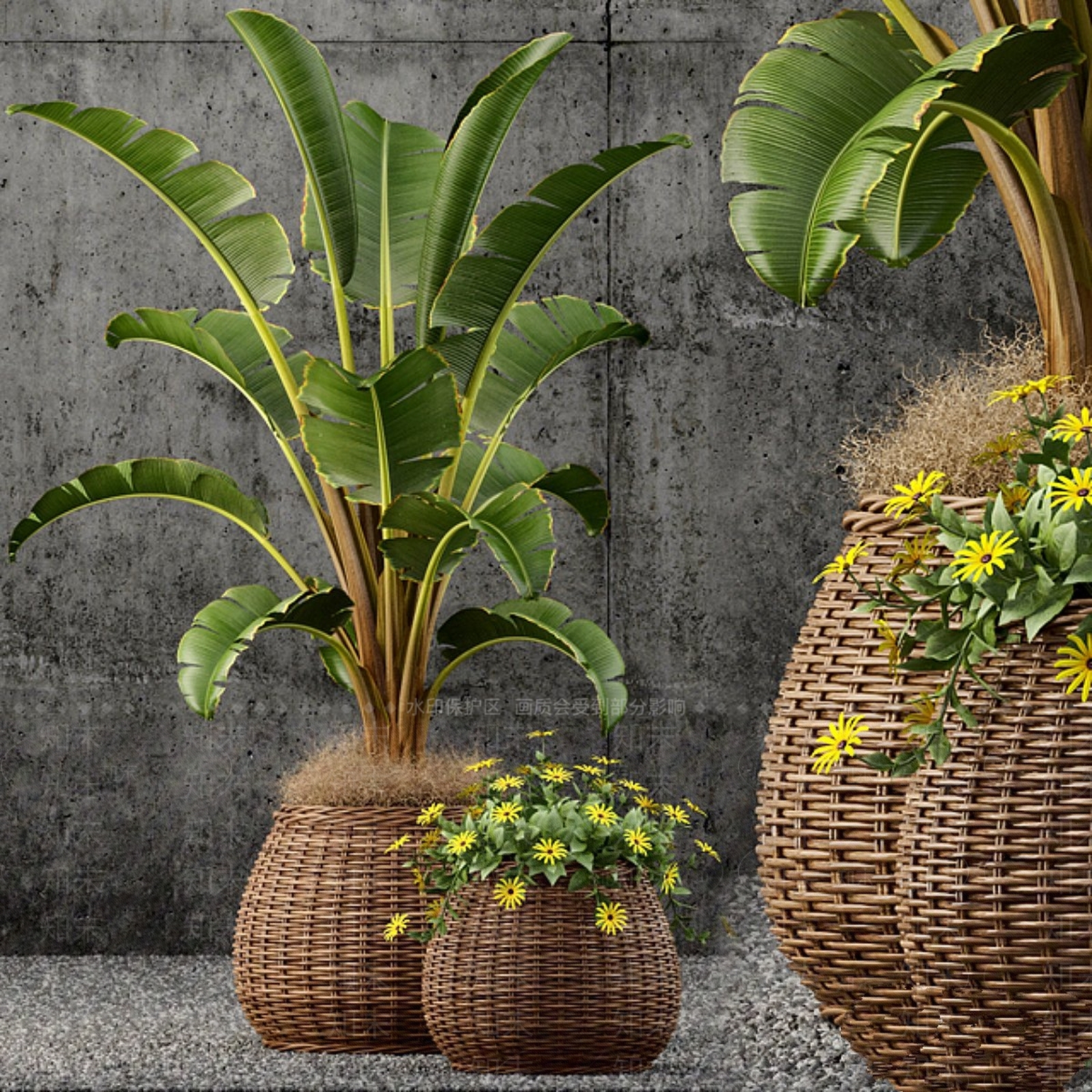 其他绿植3D模型下载【ID:1180774907】