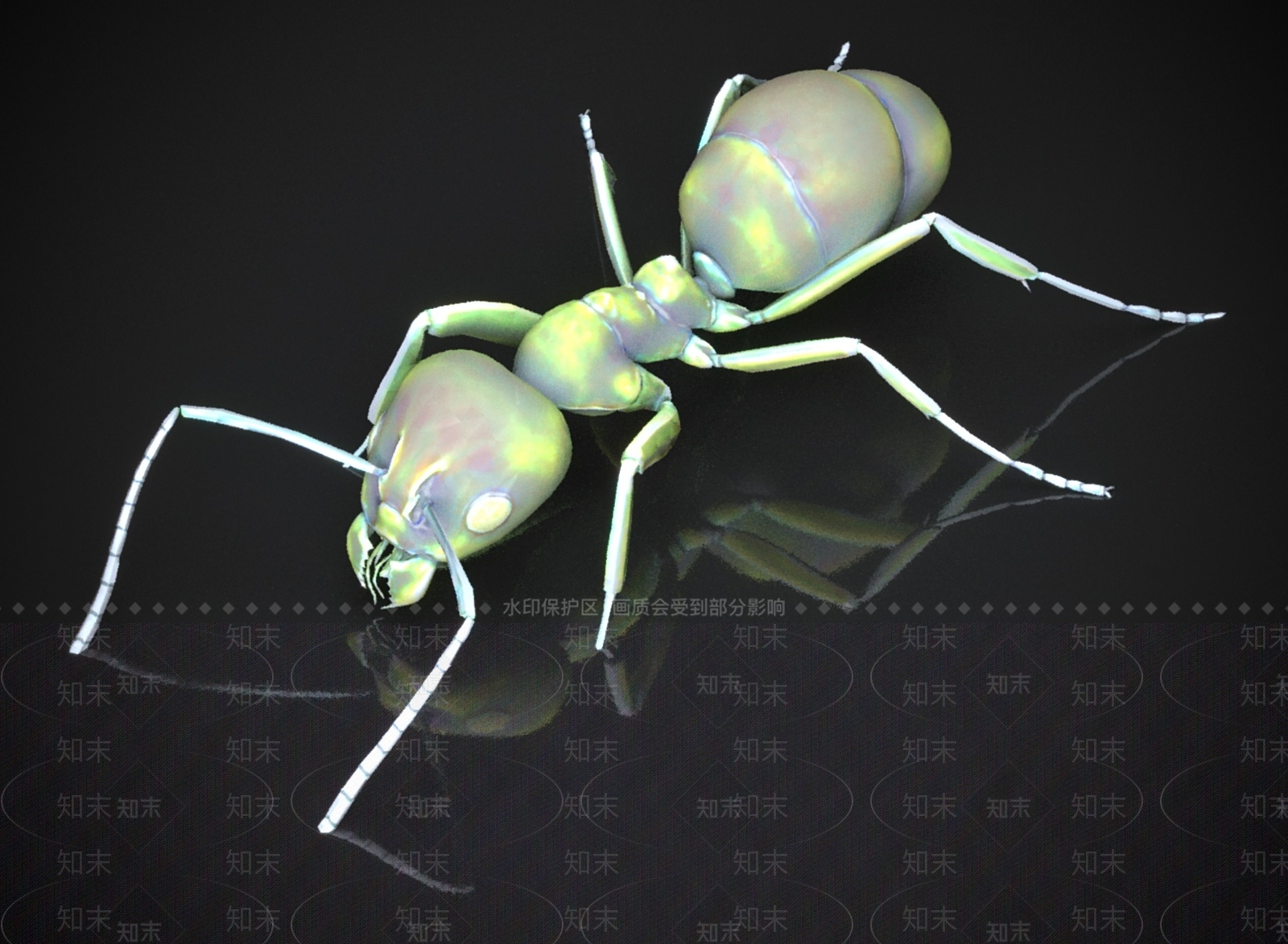 其他动物3D模型下载【ID:1180777317】