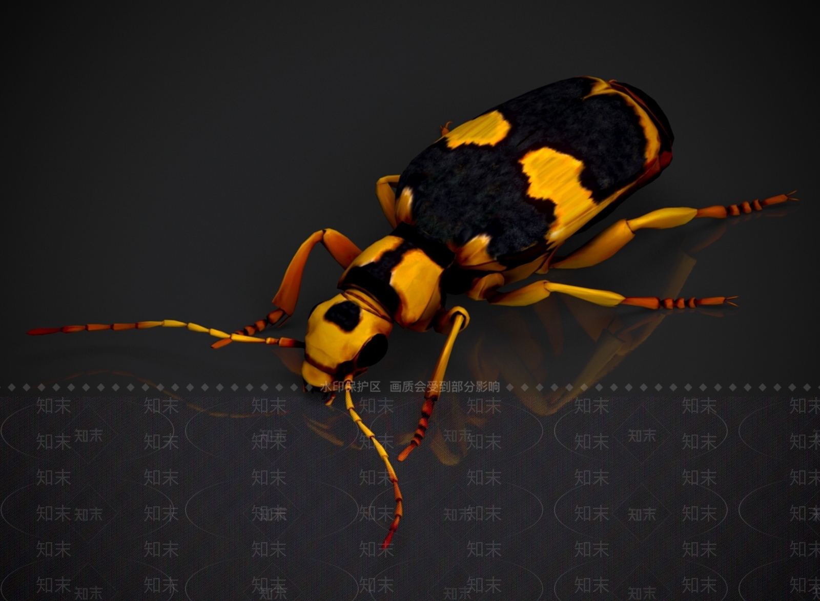 其他动物3D模型下载【ID:1180777406】