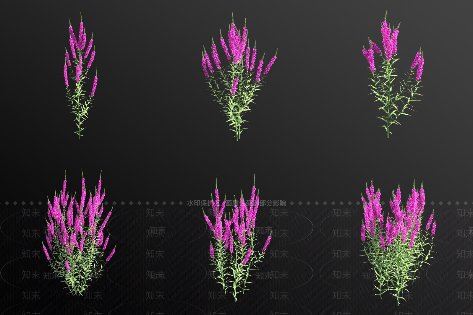 水生植物3D模型下载【ID:1180785162】