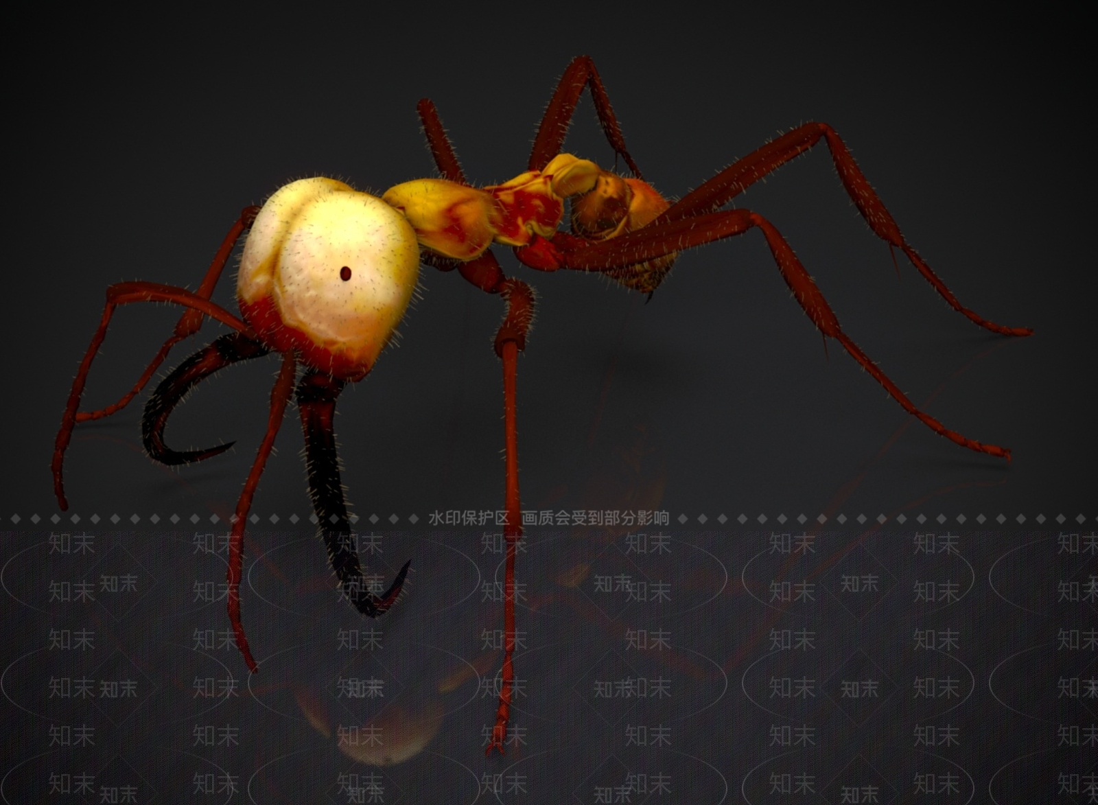 其他动物3D模型下载【ID:1180810877】