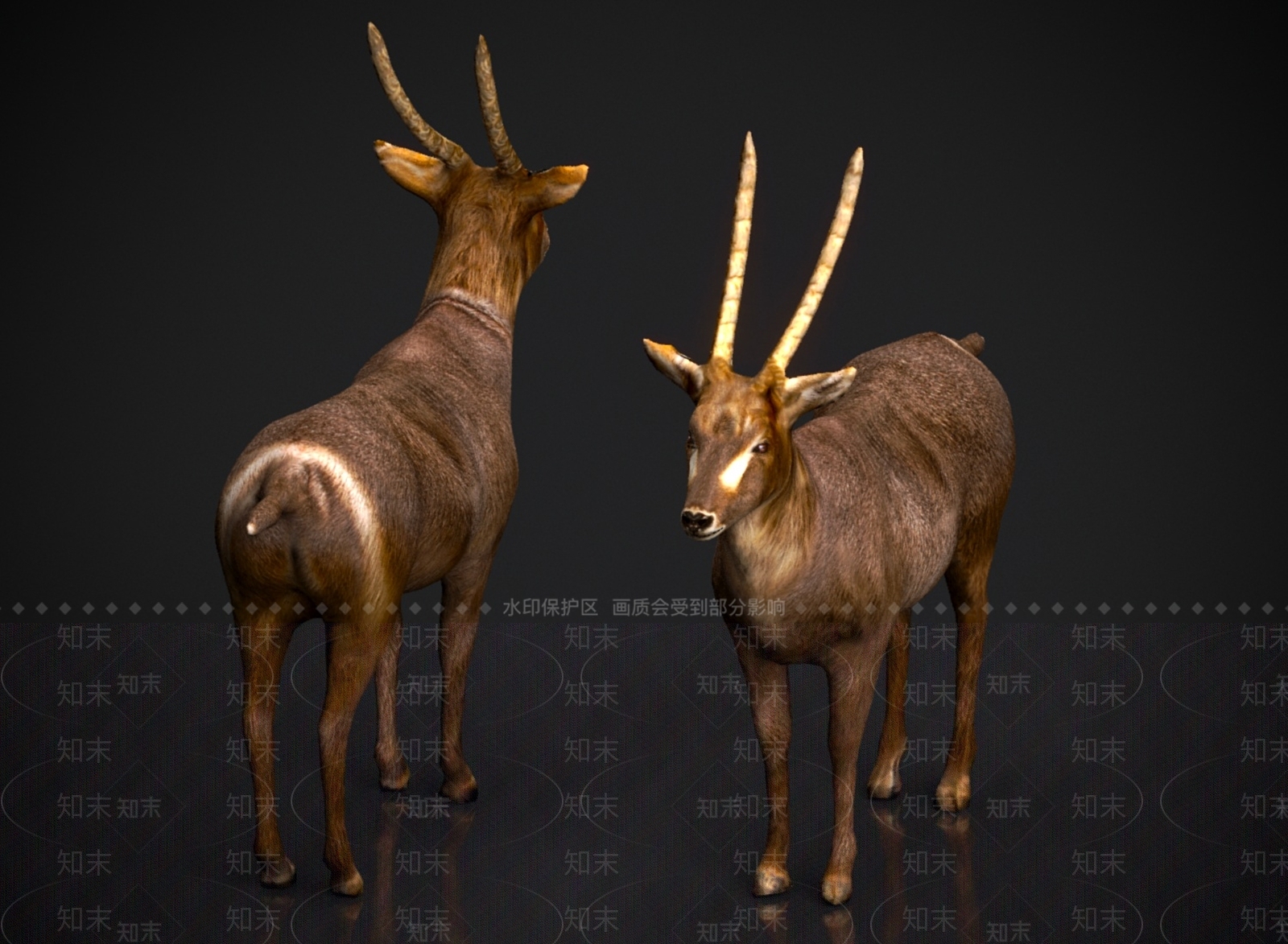 其他动物3D模型下载【ID:1180811010】