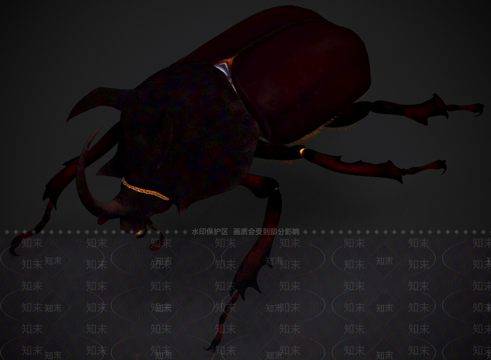 其他动物3D模型下载【ID:1180811189】