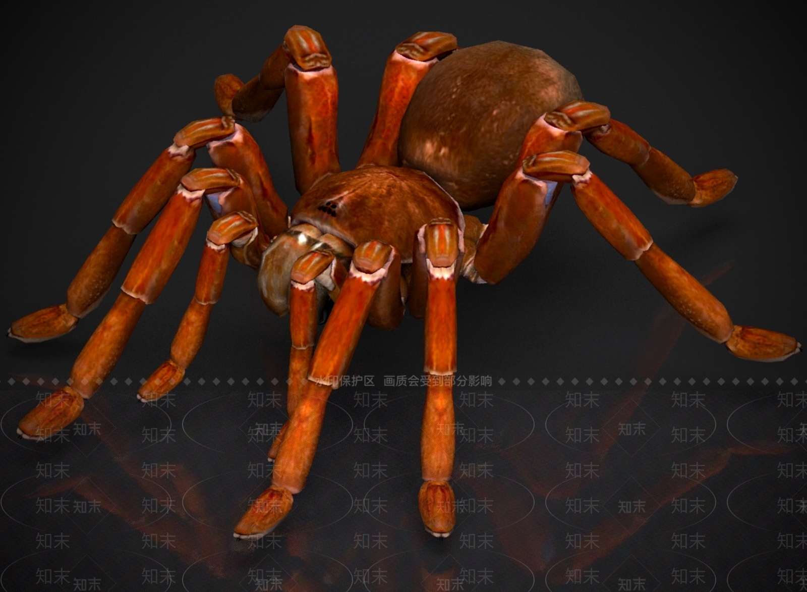 其他动物3D模型下载【ID:1180812136】