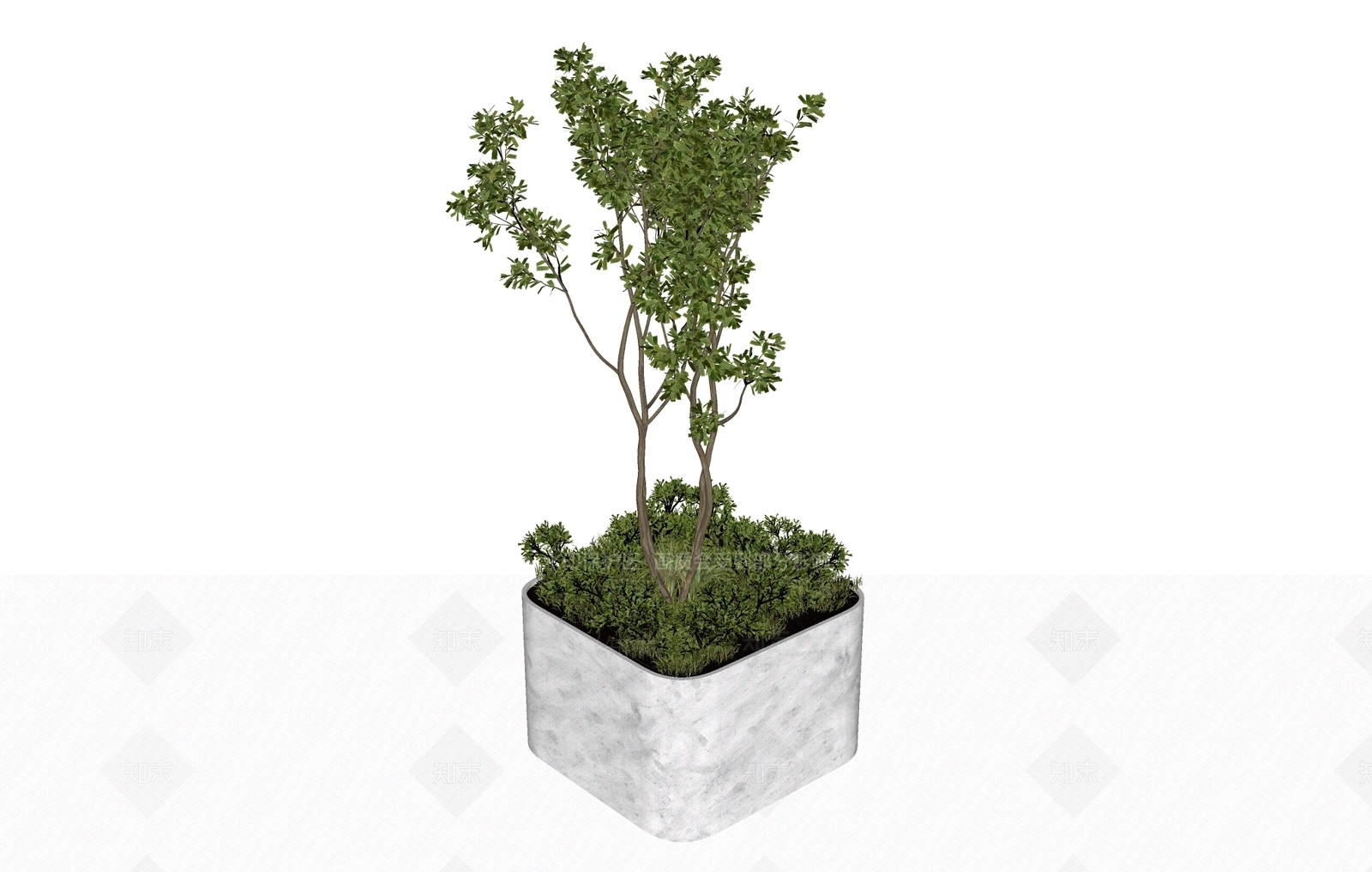 植物组合SU模型下载【ID:1180819407】