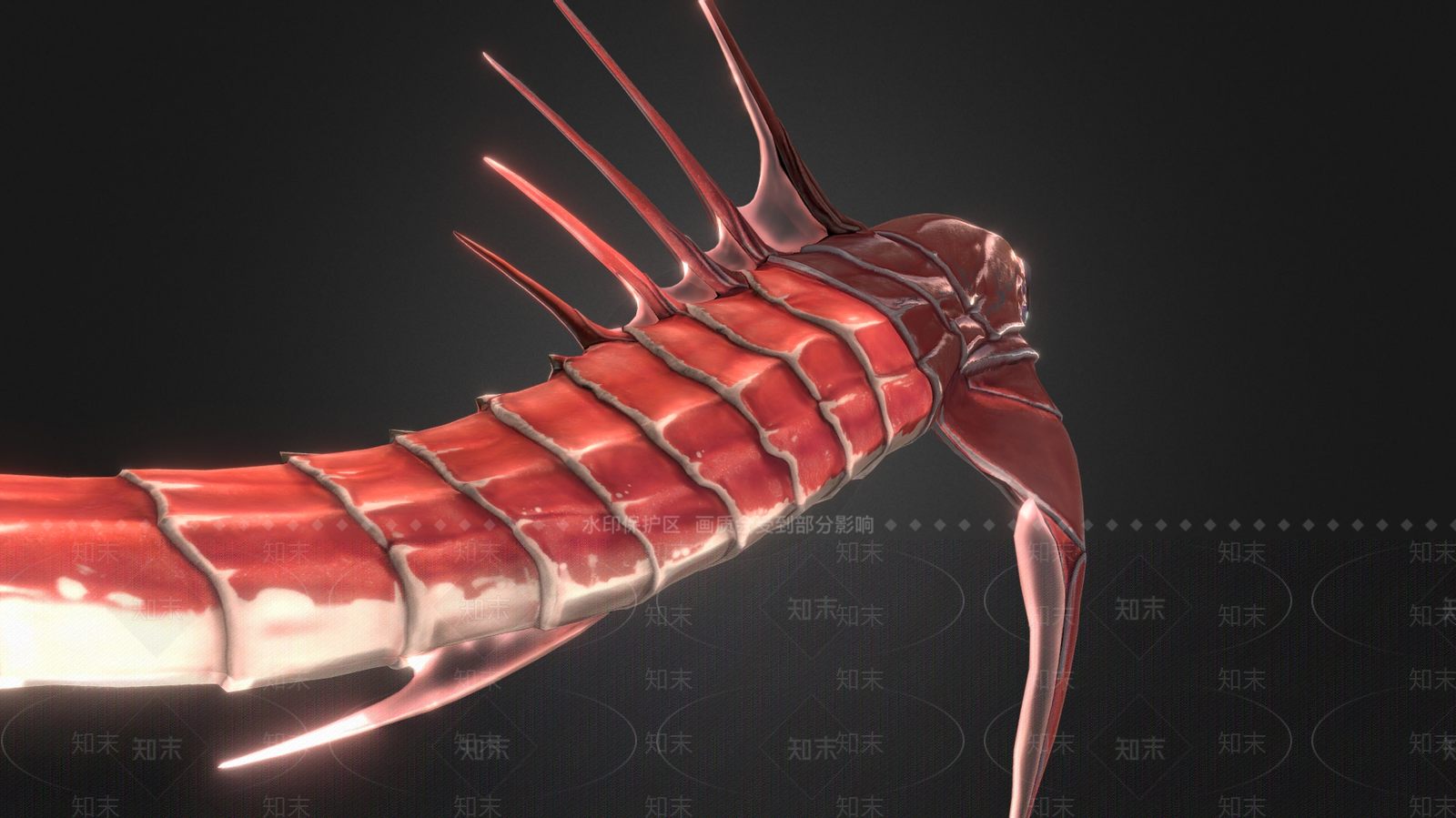 水生类动物3D模型下载【ID:1180825076】