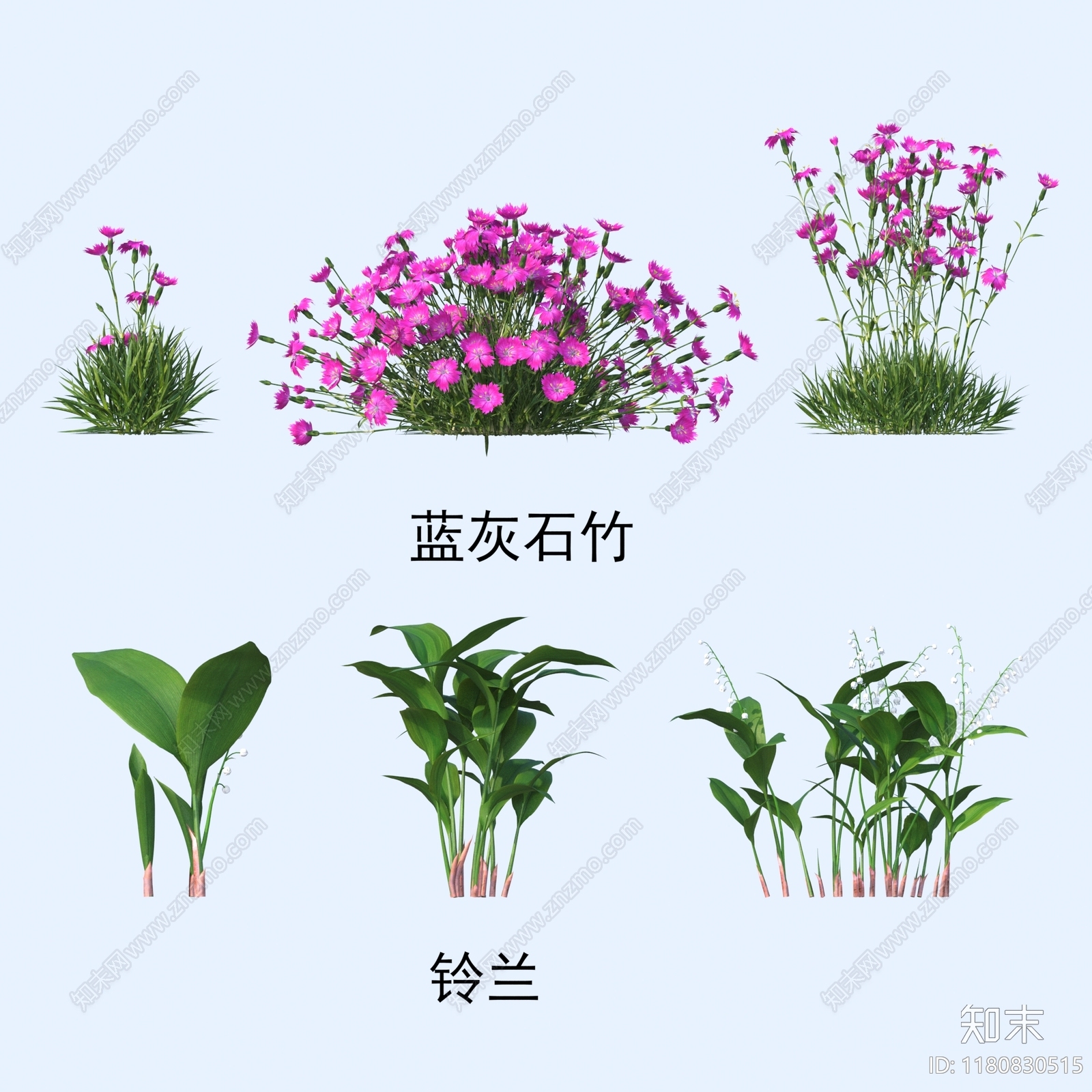 花3D模型下载【ID:1180830515】