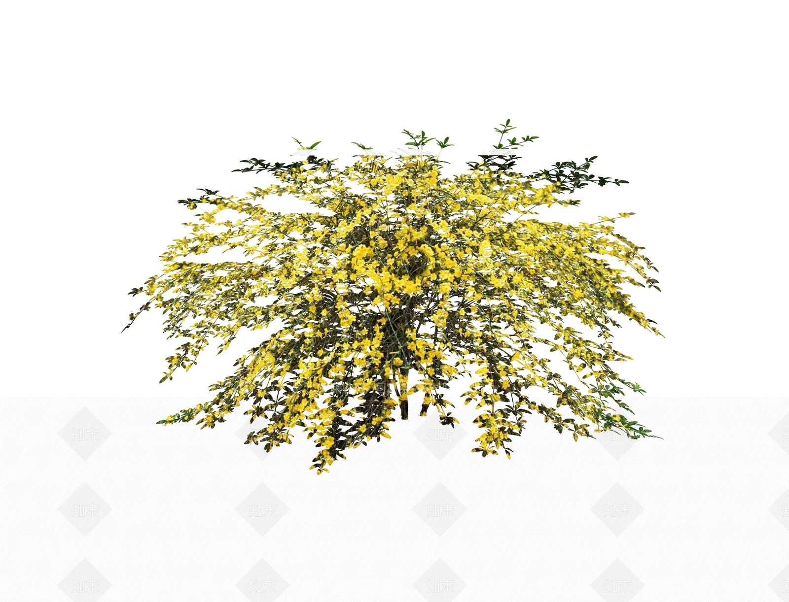灌木SU模型下载【ID:1180830795】