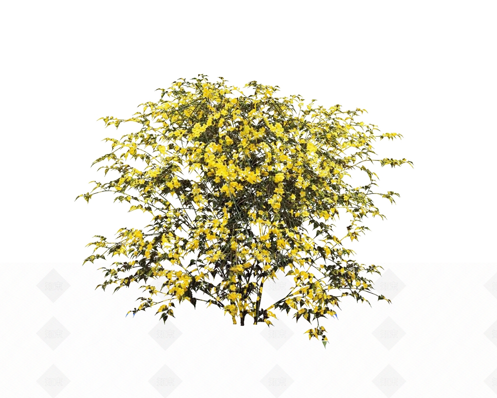 灌木SU模型下载【ID:1180831067】