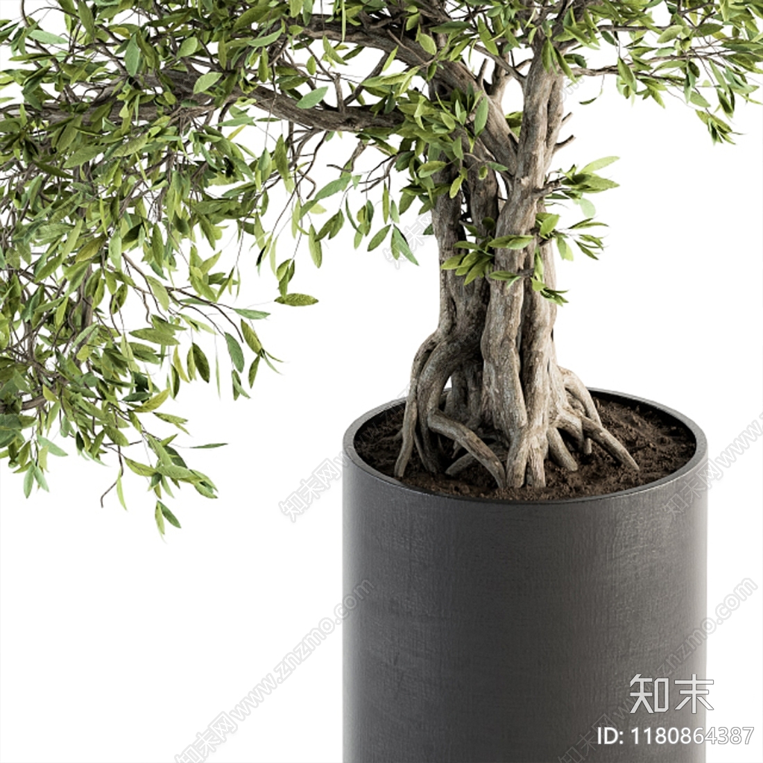 现代植物盆栽3D模型下载【ID:1180864387】