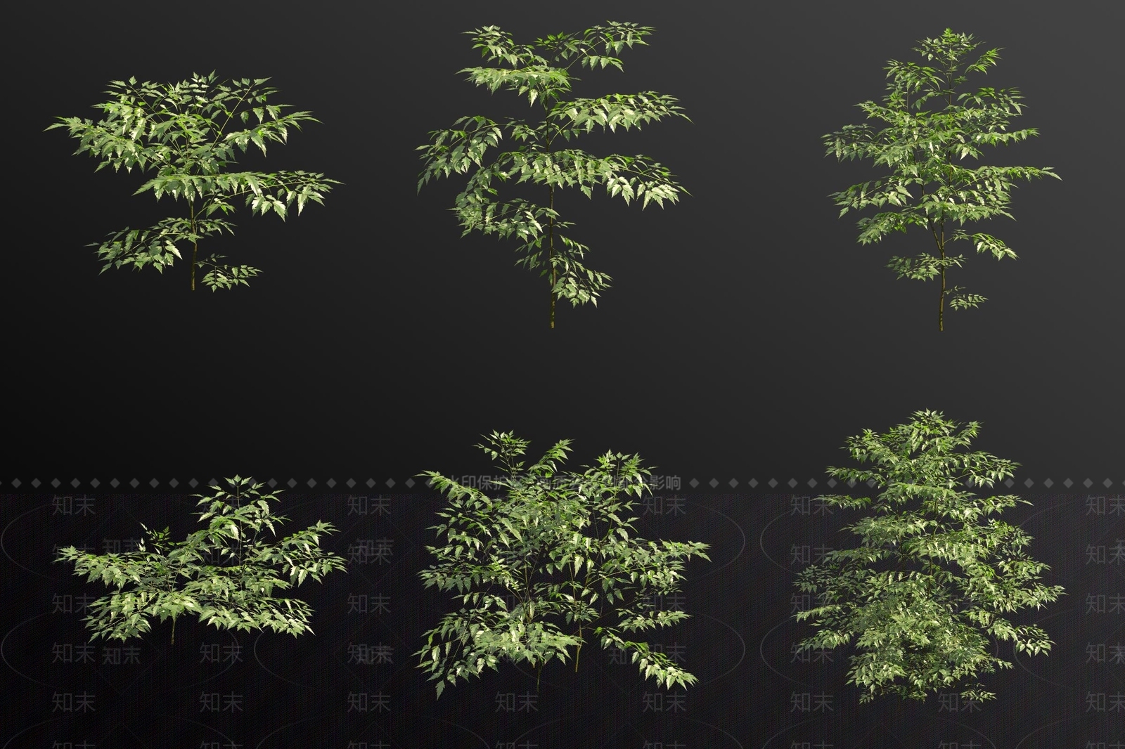 景观树3D模型下载【ID:1180888329】