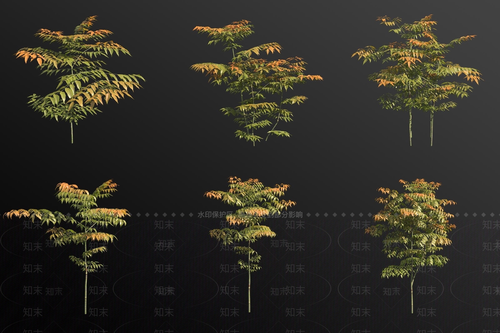 景观树3D模型下载【ID:1180888777】