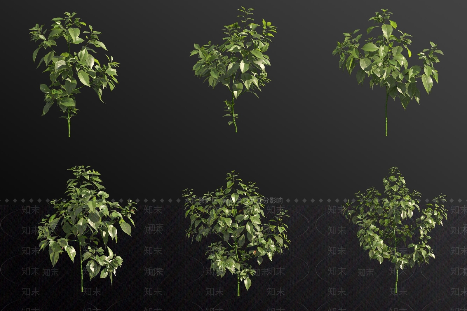 景观树3D模型下载【ID:1180891417】