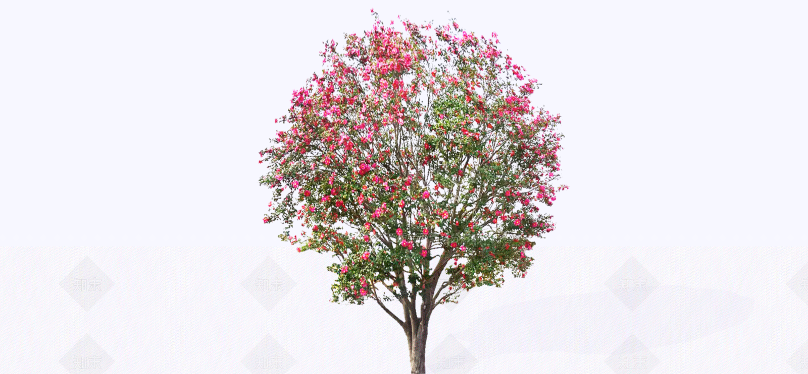 灌木SU模型下载【ID:1180928127】