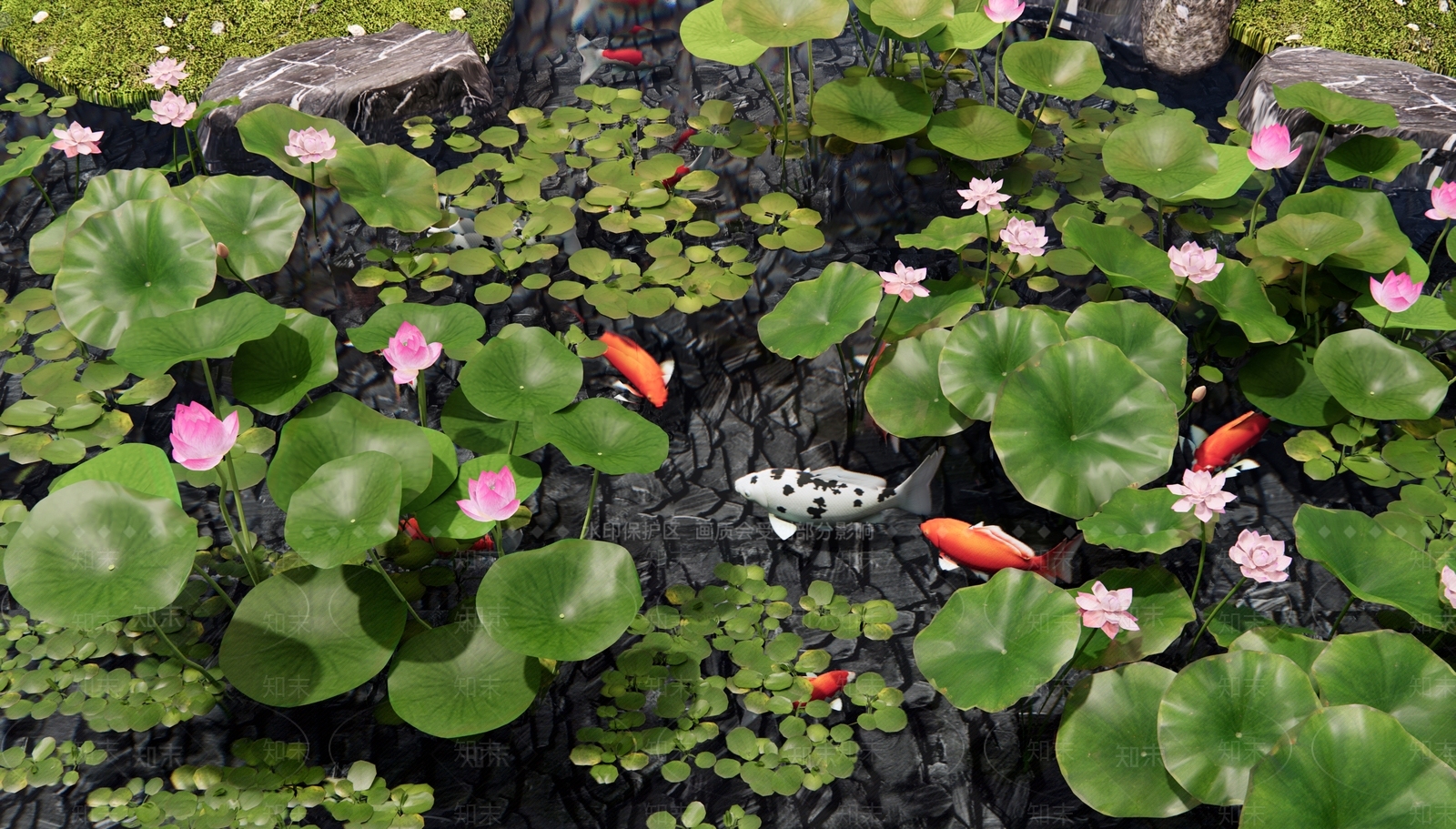 水生植物SU模型下载【ID:1180930310】