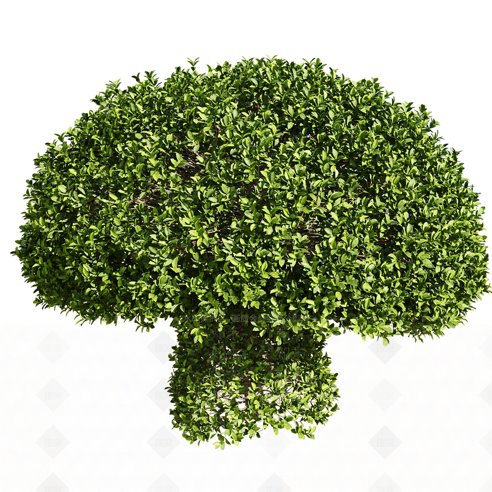 现代Ficus3D模型下载【ID:1180947197】