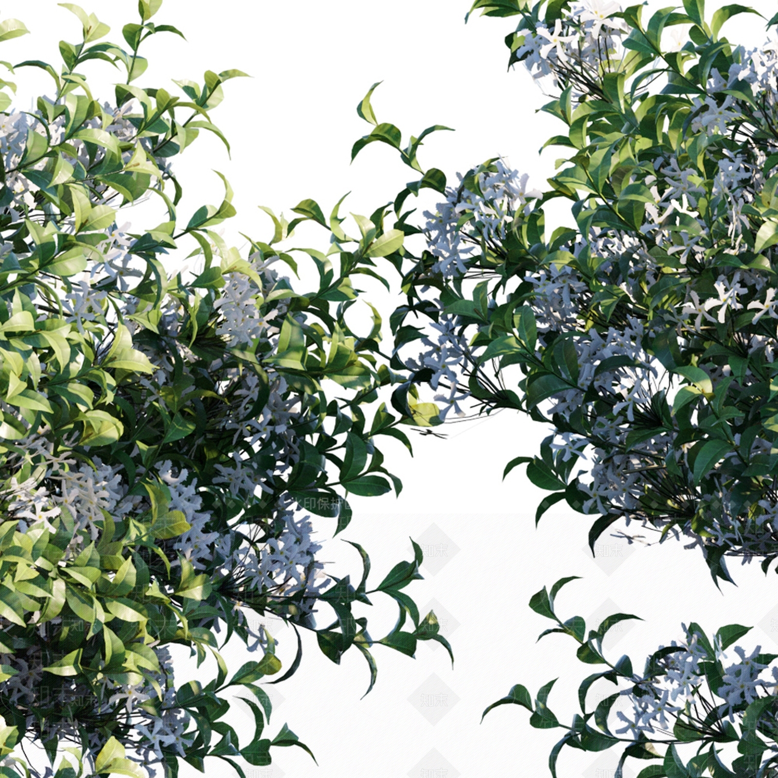 现代植物草3D模型下载【ID:1180952293】