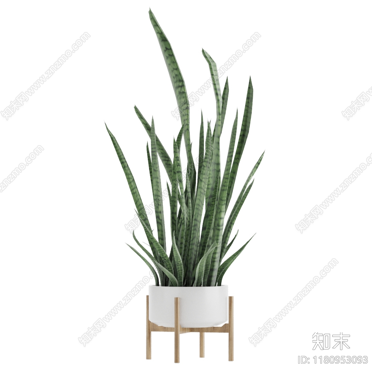 现代植物盆栽3D模型下载【ID:1180953093】