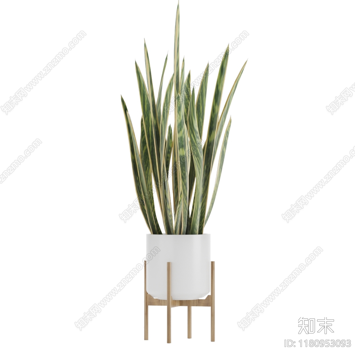 现代植物盆栽3D模型下载【ID:1180953093】