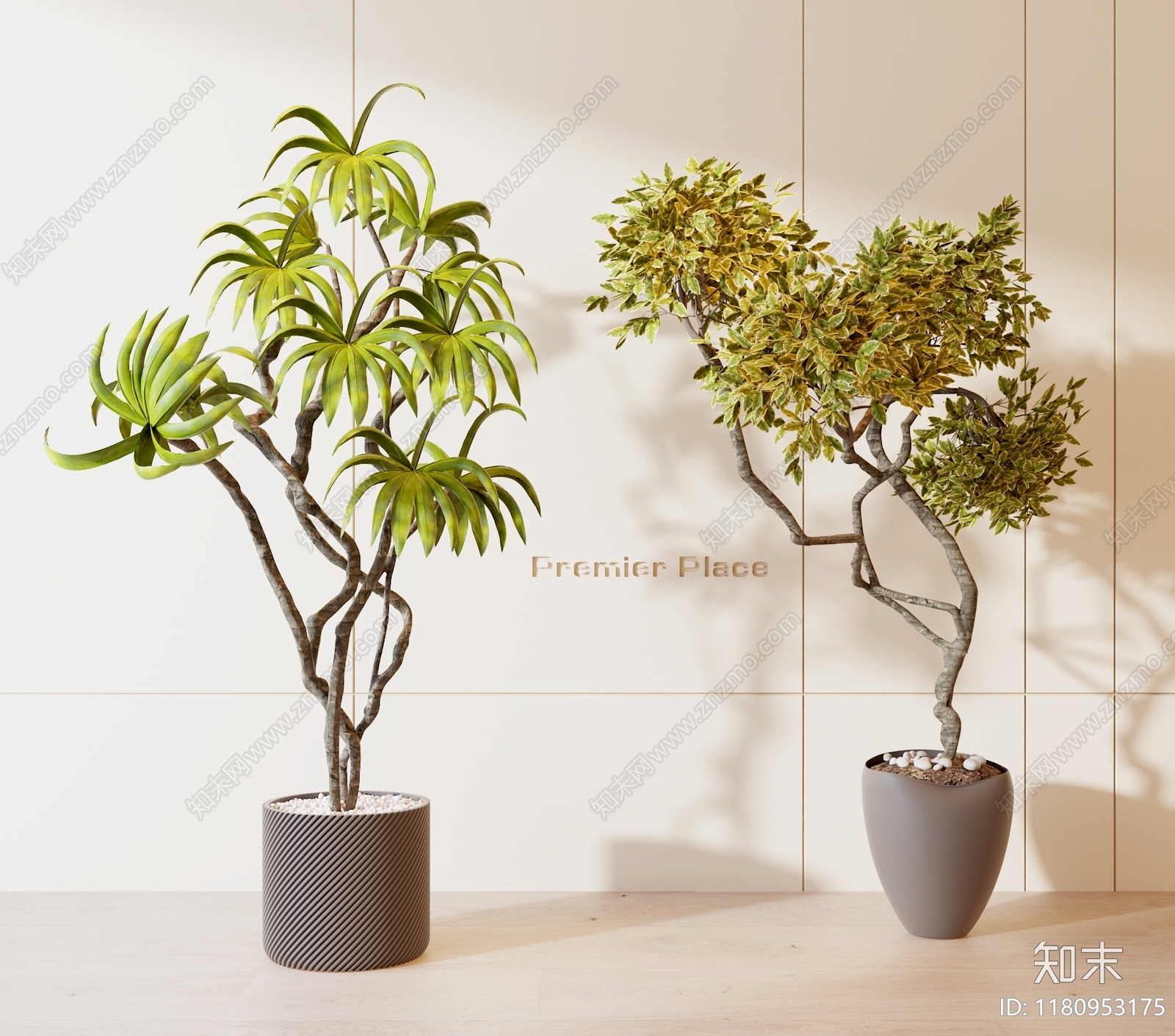 现代绿植盆栽3D模型下载【ID:1180953175】