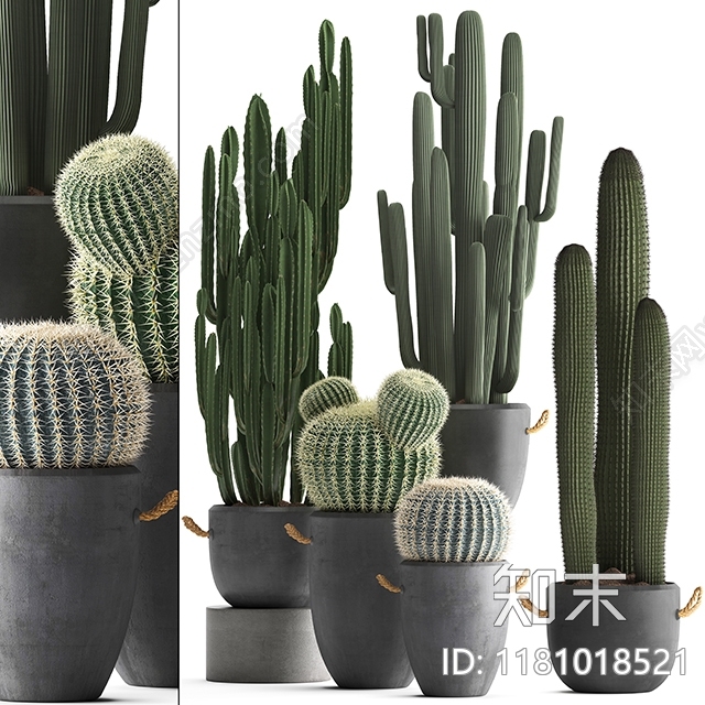 现代Collection3D模型下载【ID:1181018521】