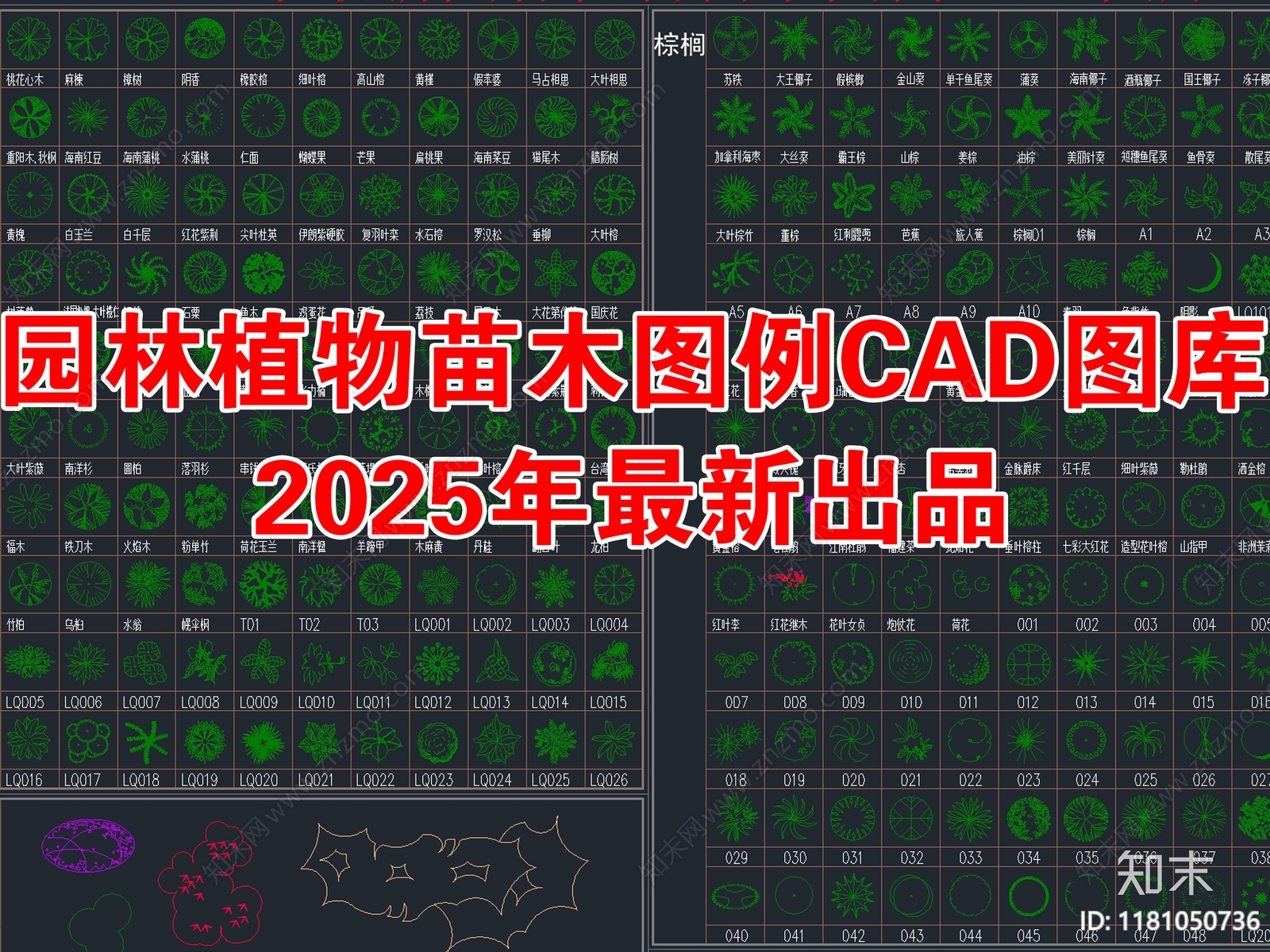 2025年最新园林植物乔木灌木植被图例CAD图库施工图下载【ID:1181050736】