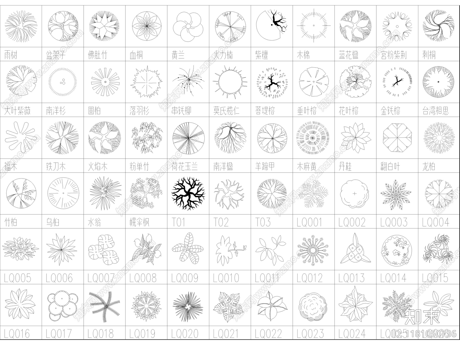 2025年最新园林植物乔木灌木植被图例CAD图库施工图下载【ID:1181050736】