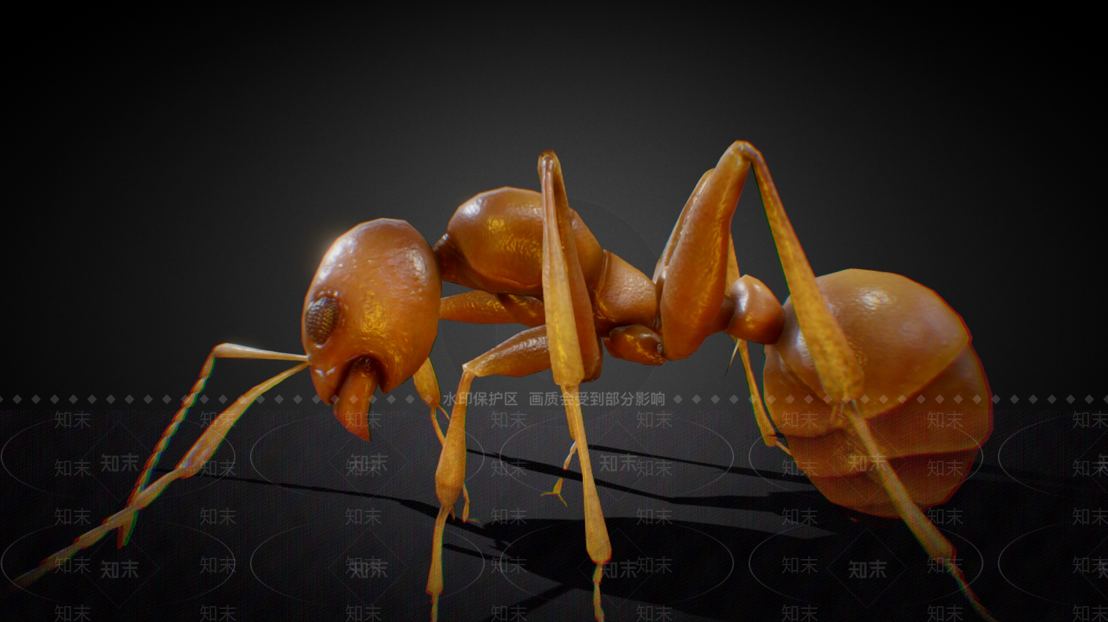 爬行类动物3D模型下载【ID:1181074240】